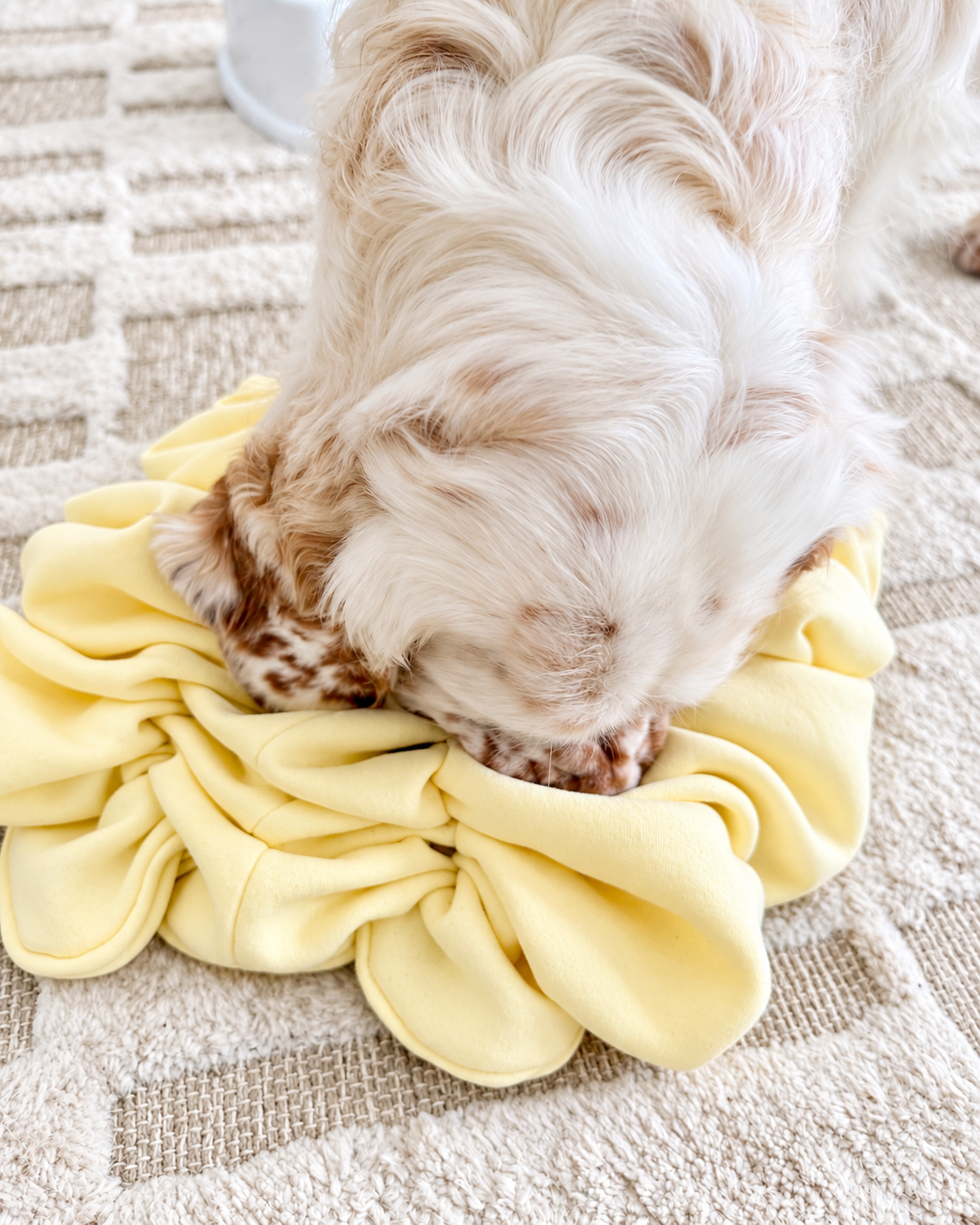 Scrunch Snuffle Mat