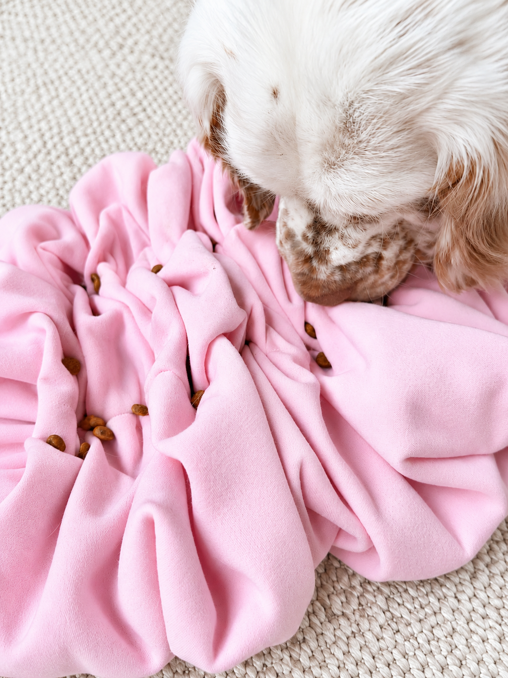 Scrunch Snuffle Mat