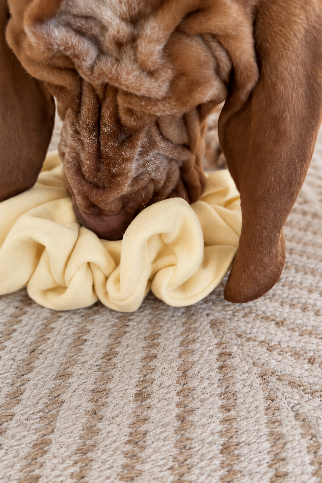 Snuffle Pods • 3 Pack