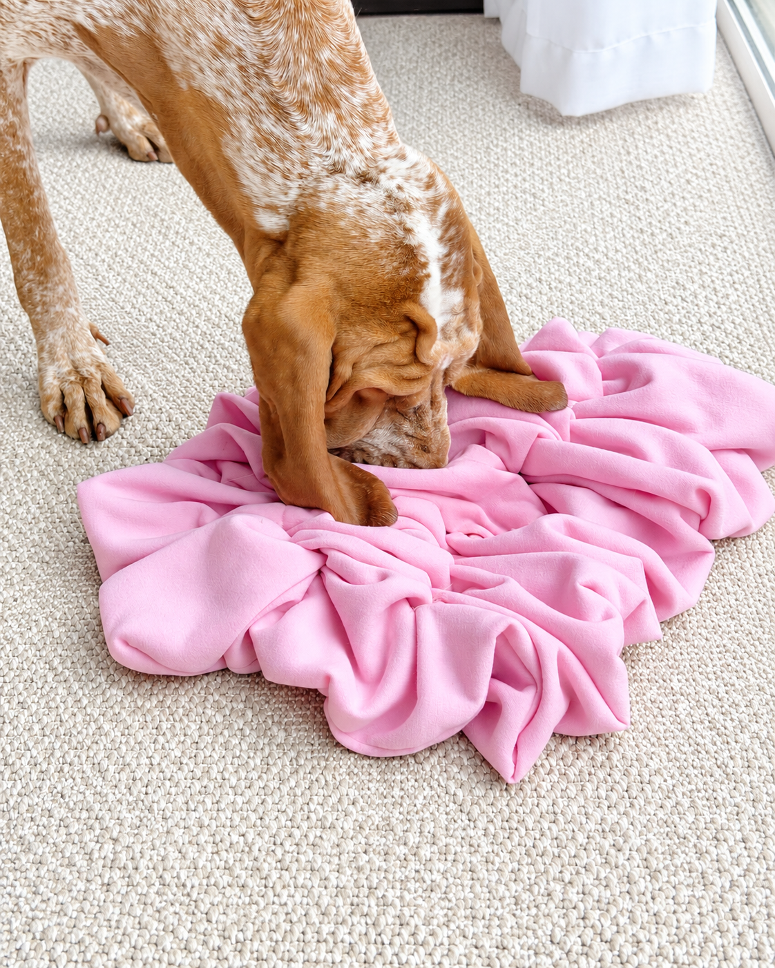 Scrunch Snuffle Mat