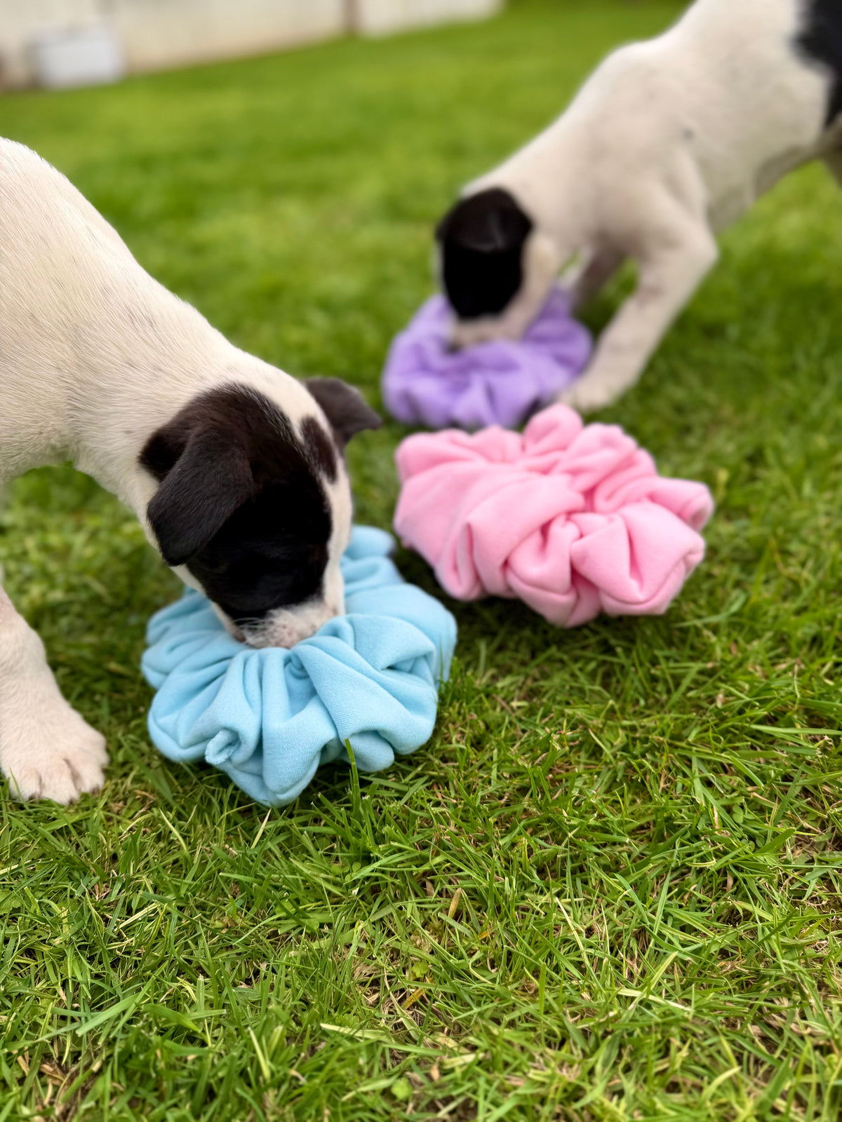 Single Snuffle Pod