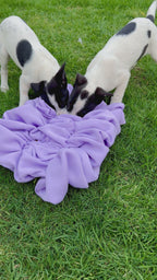 Scrunch Snuffle Mat