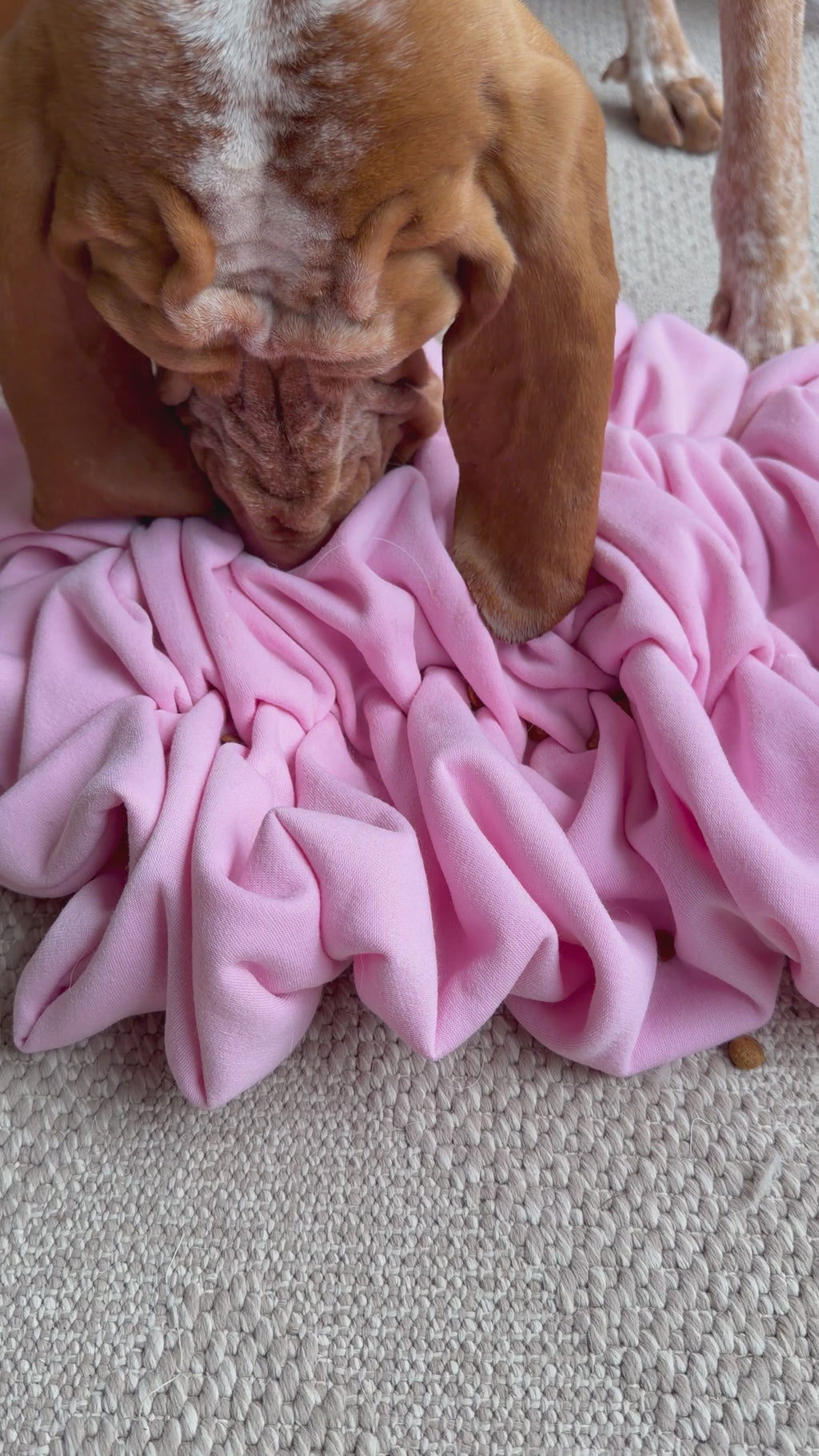 Scrunch Snuffle Mat